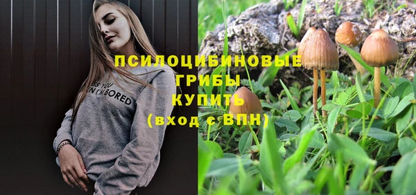 марихуана Сясьстрой