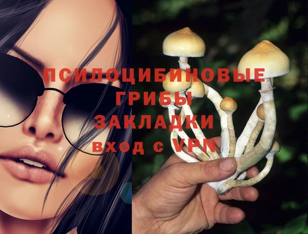 альфа пвп Надым