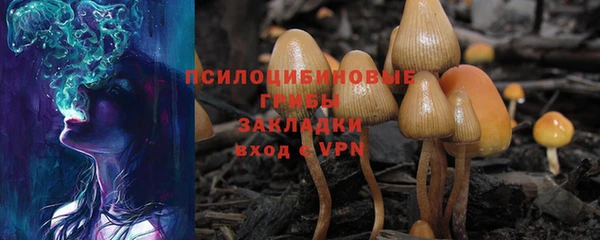 альфа пвп Надым