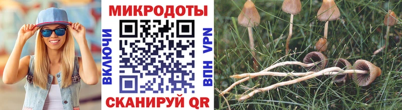 Псилоцибиновые грибы ЛСД  mega   Полтавская 